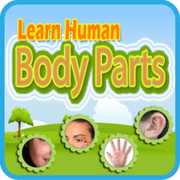 ikon Learn Human Body Parts