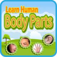 Learn Human Body Parts