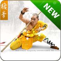 Learn KungFu [ New ] on 9Apps