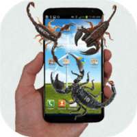 Scorpion run in phone prank on 9Apps