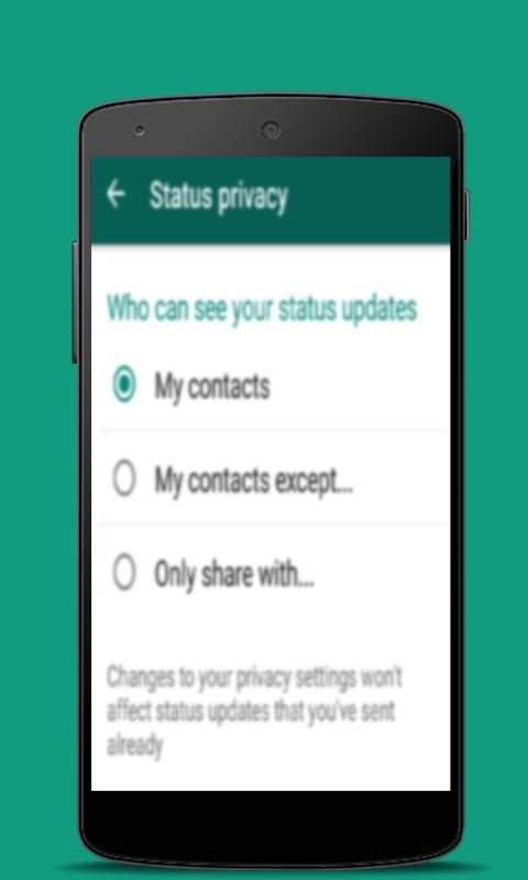 New WhatsApp Status Guide screenshot 3