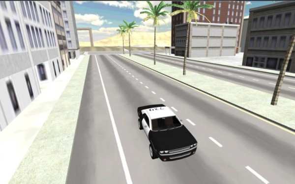 Police Car Racer 3D screenshot 8