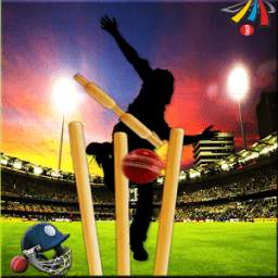 Domestic Cricket Tournment 1.2