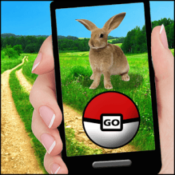 ikon Pocket Village GO