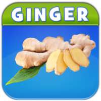 Benefits of Ginger on 9Apps