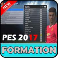 Formation Pes 2017