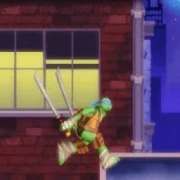 ikon Ninja Fighter - Turtles