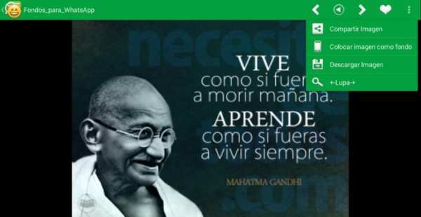 +5O.OOO ESTADOS PARA WHATSAPP screenshot 3