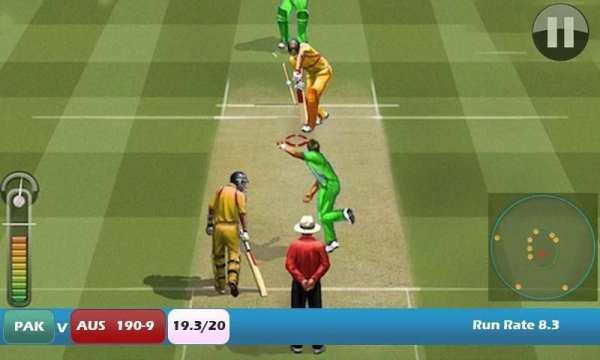 Pak vs Aus Cricket Game Live screenshot 2