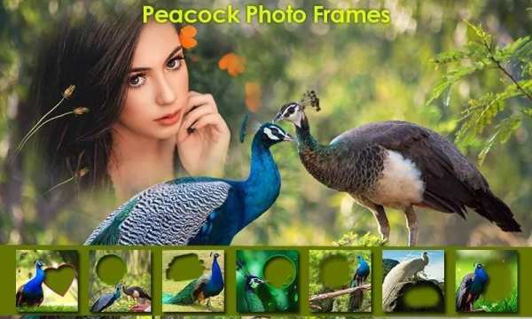 All in One Photo Frame Maker, Editor 2020 स्क्रीनशॉट 6