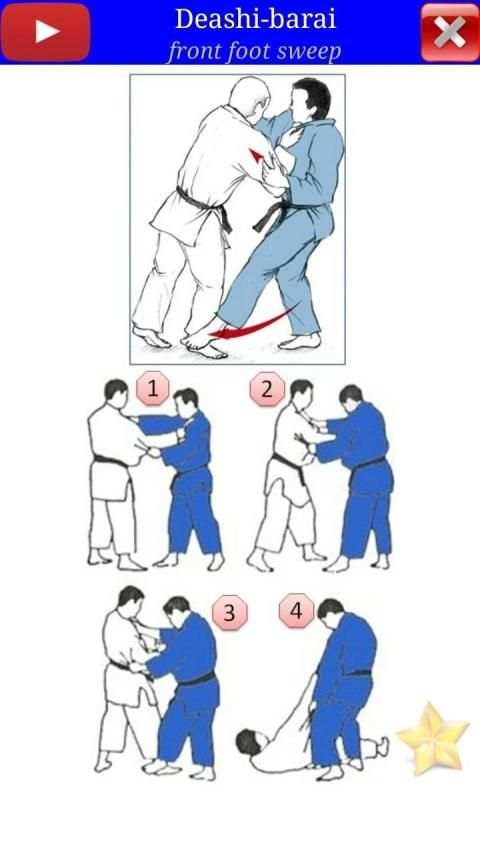 Judo in brief screenshot 22