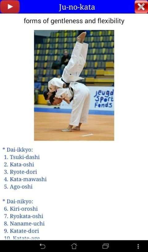 Judo in brief screenshot 6
