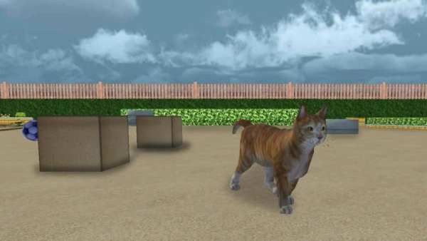 Cat Simulator 2017 screenshot 4