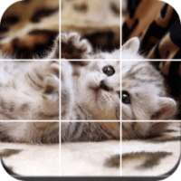 Jigsaw Puzzle Cats