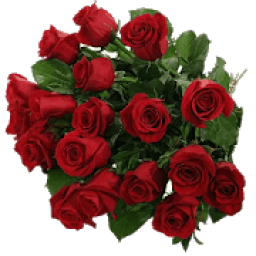 ikon Roses Stickers For Whatsapp