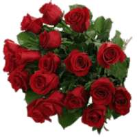 Roses Stickers For Whatsapp