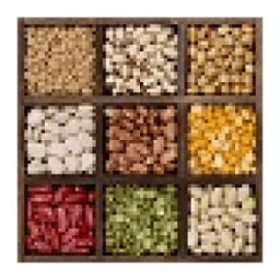 Ration Card Gujarat New иконка