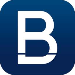 BluePay 3.1.3