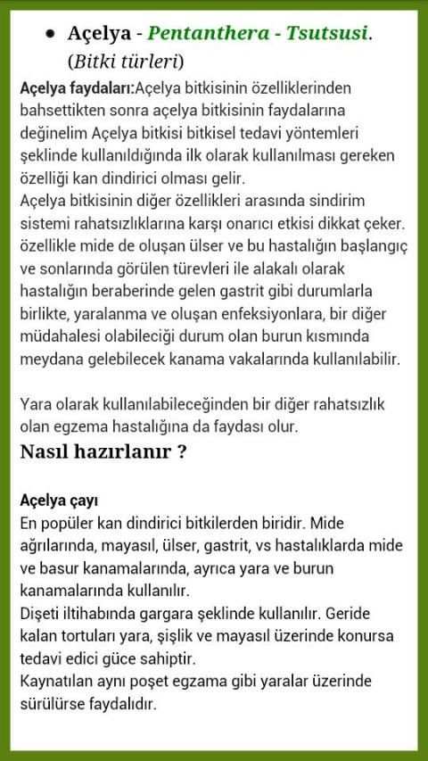 Şifa Bul screenshot 4