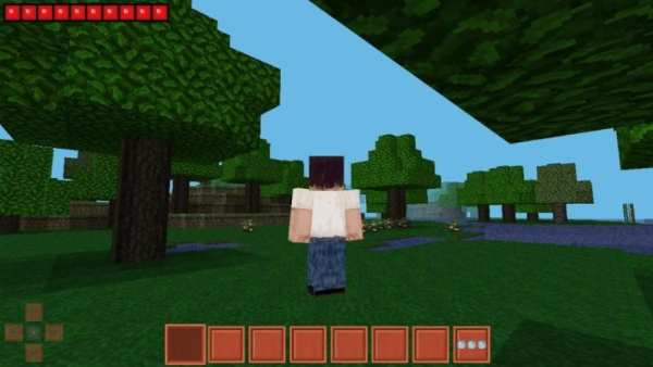 MultiCraft pro edition 2 screenshot 3
