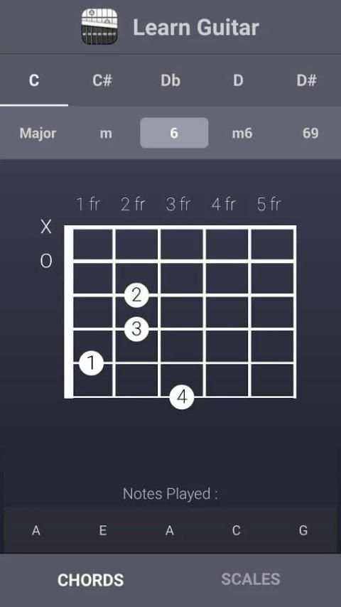 Learn Guitar Chords & Scales скриншот 4