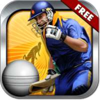 T20 Cricket