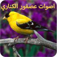 اصوات عصفور الكناري on 9Apps