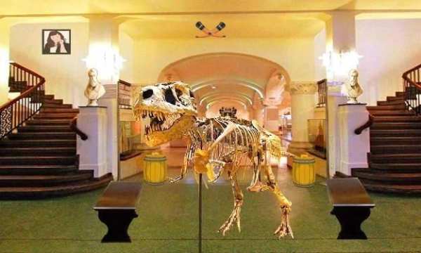 Camera Museum Escape скриншот 8