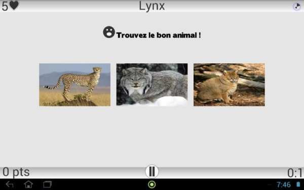 Animaux Quiz screenshot 10