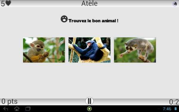 Animaux Quiz скриншот 9