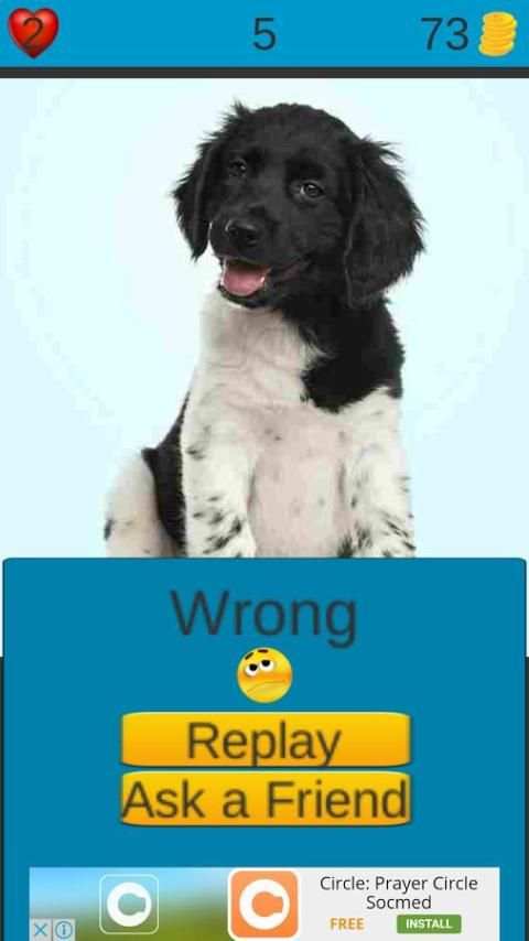 Dog Breeds Game: Dog Names screenshot 12