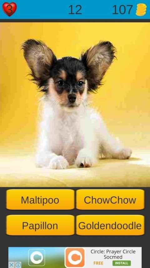 Dog Breeds Game: Dog Names screenshot 7