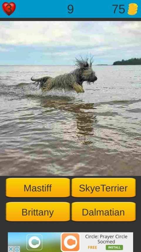 Dog Breeds Game: Dog Names screenshot 3