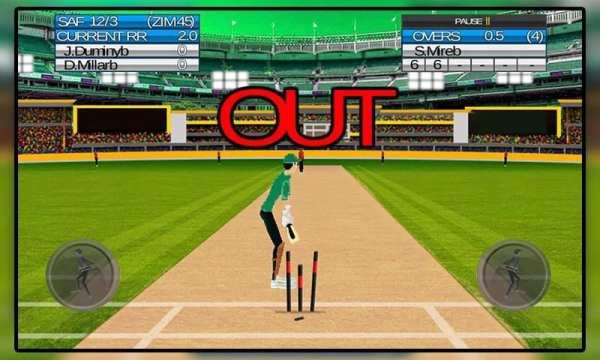 Let's Play Cricket screenshot 1