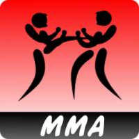 MMA training system