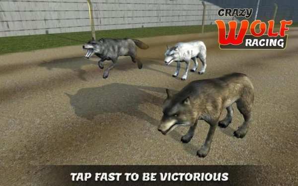 Wild Wolf Racing Game स्क्रीनशॉट 2