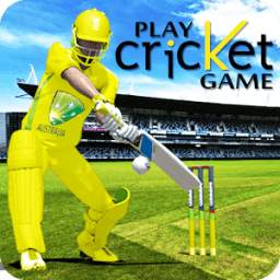 Lets Play Cricket 1.0