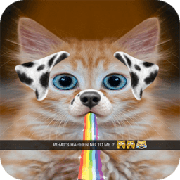 Camera Snappy Cats иконка