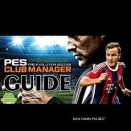 Guide PES 1.0