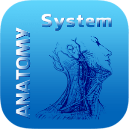 ikon Human Anatomy System