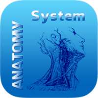 Human Anatomy System