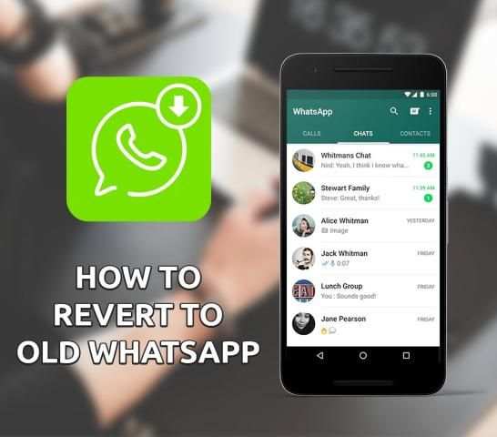 Guide For Old WhatsApp screenshot 1