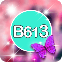 ikon b613 selfie - camera editor