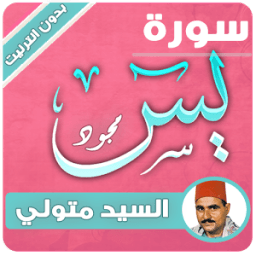 سورة يس - السيد متولي بدون نت icon