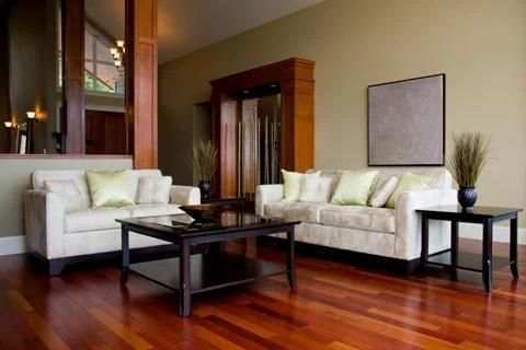 Living Room Decorating Ideas скриншот 1