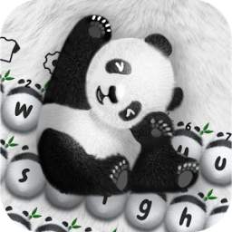 Cute Panda-Panda Keyboard
