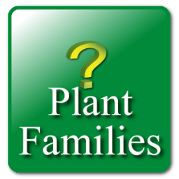 Key: Plant Families иконка