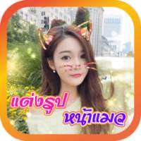 แต่งรูปหน้าแมวน่ารักๆ Cat Face