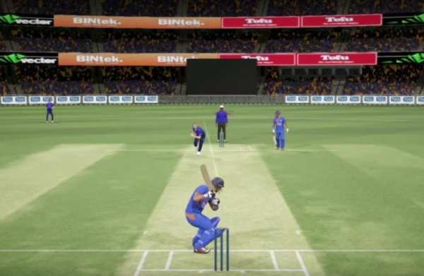 Cricket 2019 स्क्रीनशॉट 3