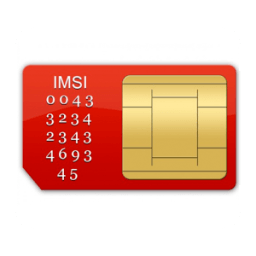 Your Sim Information आइकन